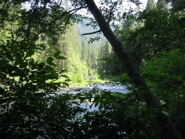 McCloud River in the Preserve