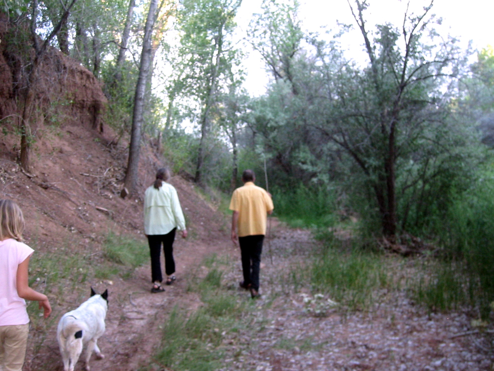 Walking in the Galisteo bosque