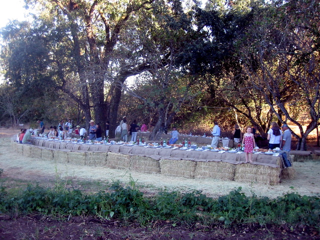 The table under the oaks