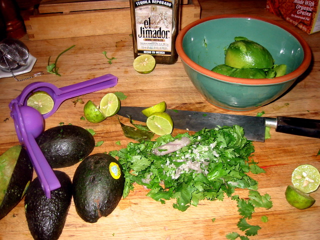 guacamole setup