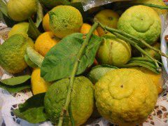 Endangered oranges
