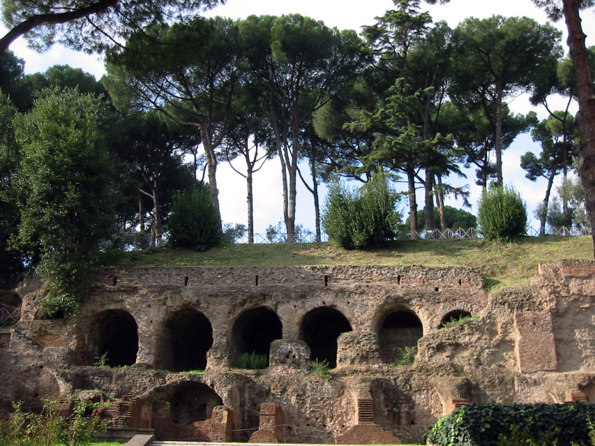 Palatine pines