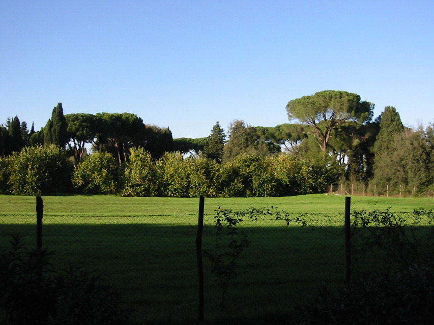 A Field in “Paradise”