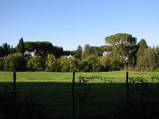 A Field in “Paradise”