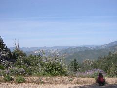 IMG_5185