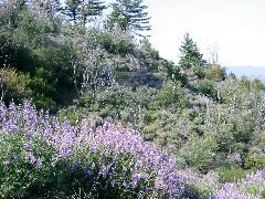 IMG_5187