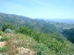 IMG_5190