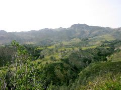 IMG_5208