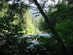 McCloud River in the Preserve