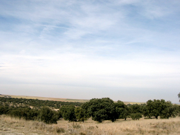 Castile y Leon