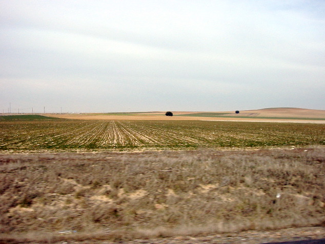 Castile y Leon