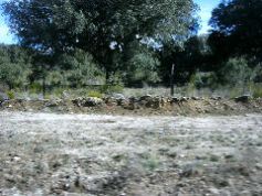 Castile y Leon