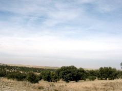 Castile y Leon