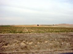 Castile y Leon